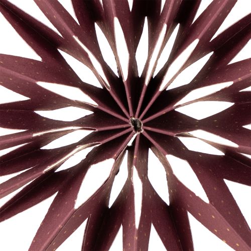 Artikel Dekorative Papiersterne zum Aufhängen für festliche Dekoration