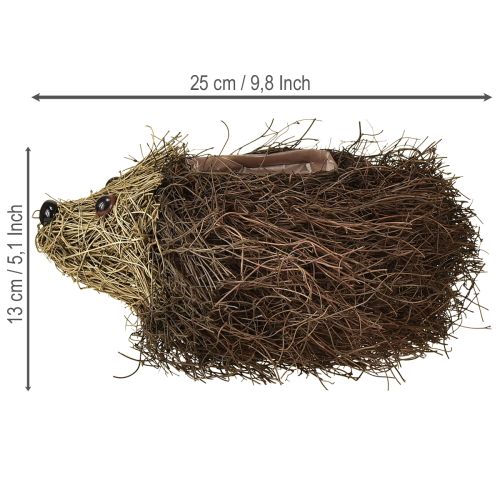 Artikel Pflanzgefäß Igel aus Reben 22cm x 25cm