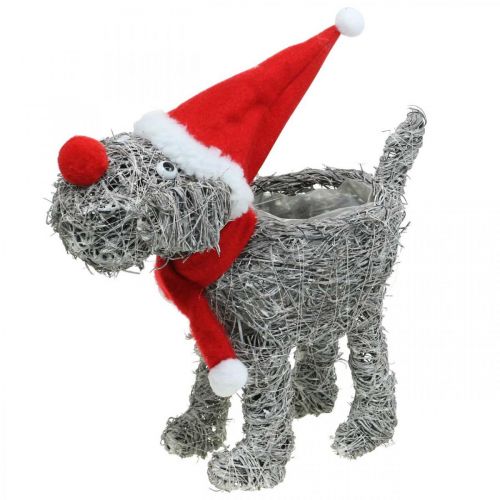 Hund zum Bepflanzen, Weihnachtsdeko, Pflanzkorb, Advent H30cm L29,5cm