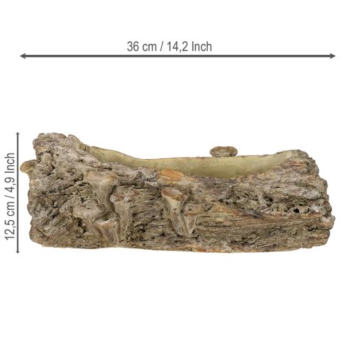 Artikel Pflanzschale Steinguss Baumstamm mit Pilzen 36×18×12,5cm