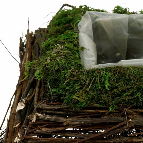 Floristik24 Pflanzkissen Rattan, Moos 20cm x 20cm H8cm