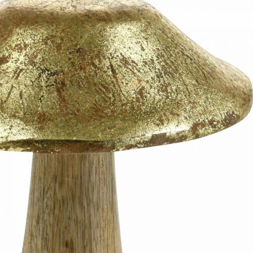 Floristik24 Pilz Mangoholz Gold, Natur Deko Pilze groß Ø12cm H15cm 2St