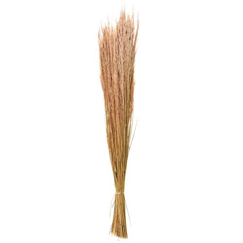 Artikel Rotes Straußgras Agrostis Trockengräser Rotbraun 65cm 80g