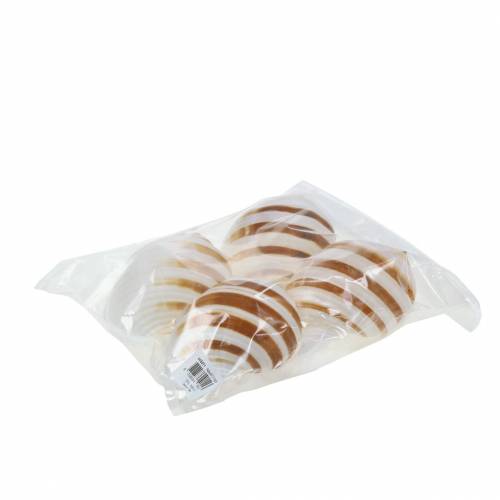 Floristik24 Meeresschnecke Fassschnecke Natur 10-12cm 4 St