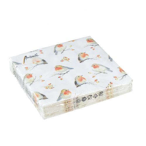 Floristik24 Servietten Herbst Rotkehlchen Hagebutten 25x25cm 20 St