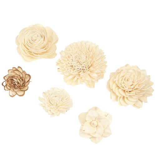 Floristik24 Sola Blumen Holz Holzblumen Deko Mix Creme 6-11cm 12-15 St