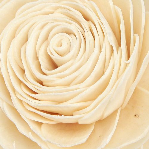 Artikel Sola Blumen Holz Holzblumen Deko Mix Creme 6-11cm 12-15 St