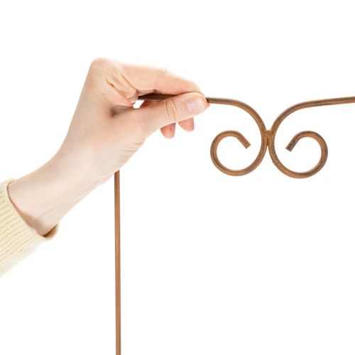 Artikel Rankgitter Metall 75 cm Braun Geschwungenes Design für Beete und Pflanztöpfe