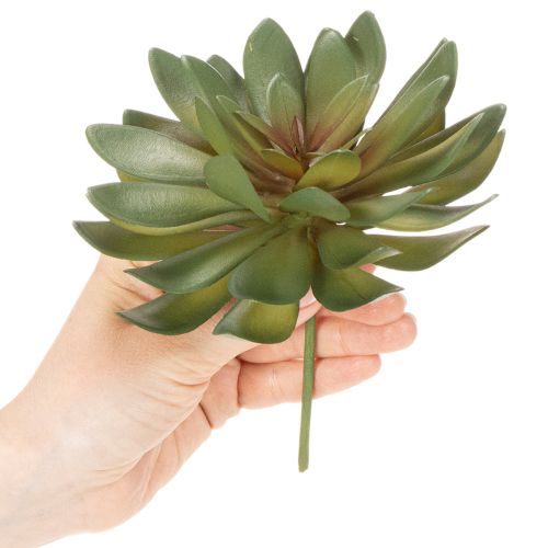 Artikel Künstliche Sukkulenten grün aus Kunststoff 18 cm 3er-Set für Innenräume