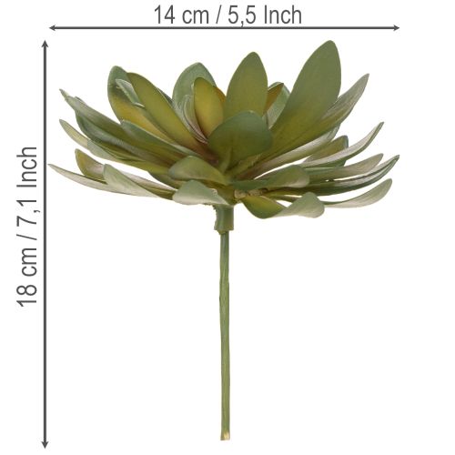 Artikel Künstliche Sukkulenten grün aus Kunststoff 18 cm 3er-Set für Innenräume