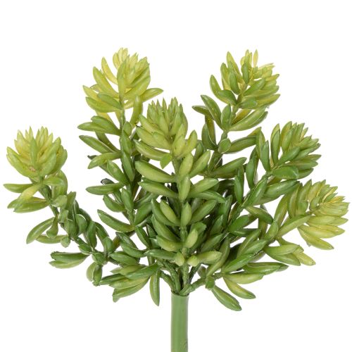 Artikel Sukkulente künstlich grün, 15 cm, 6 Stück