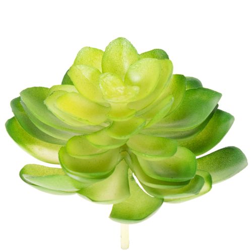 Artikel Künstliche Sukkulenten grün 10 cm Set 4 Stück für Schale oder Vase