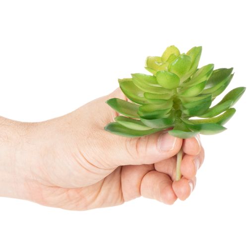 Artikel Künstliche Sukkulenten grün 10 cm Set 4 Stück für Schale oder Vase