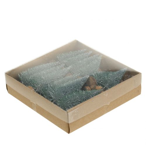 Floristik24 Tanne Silber 8cm 24 St