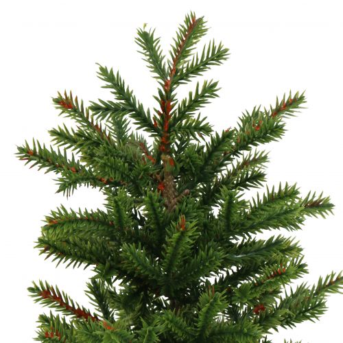 Floristik24 Tannenbaum im Topf Grün 23cm