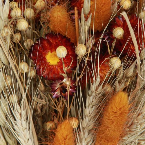 Artikel Trockenblumen Feldblumenstrauß Strohblumen Orange L30cm