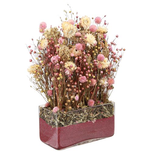 Floristik24 Trockenblumen Pink Klee Strohblumen Dill Flachs 35cm 150g