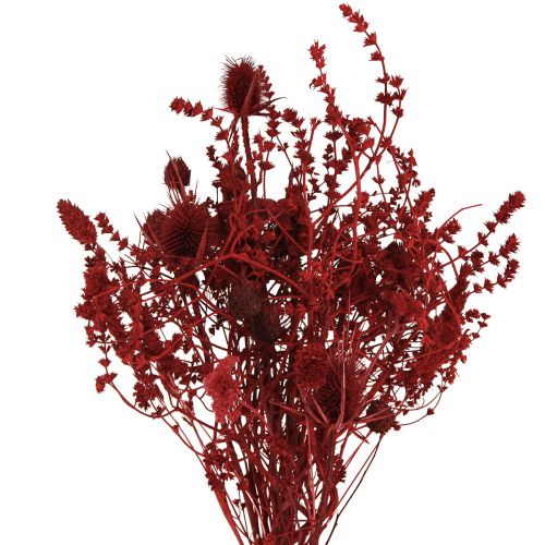 Artikel Trockenblumenstrauß Distel Deko in Weinrot 40cm 80g