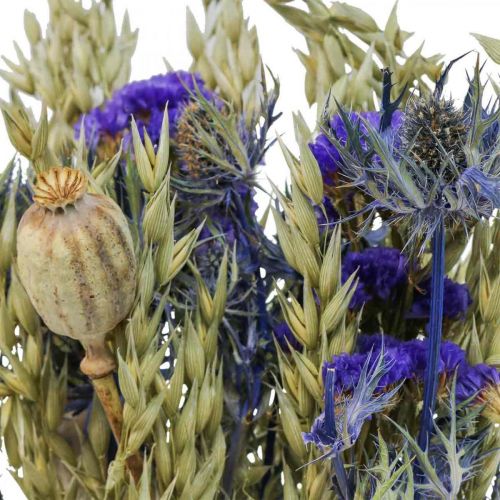Floristik24 Trockenblumenstrauß Strauß Wiesenblumen Blau H50cm 100g