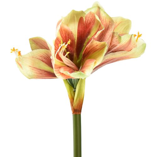 Künstliche Amaryllis Blume in Rosa und Gelb – 66 cm – Ideale Geschenkidee und stilvolle Dekoration für Innenräume