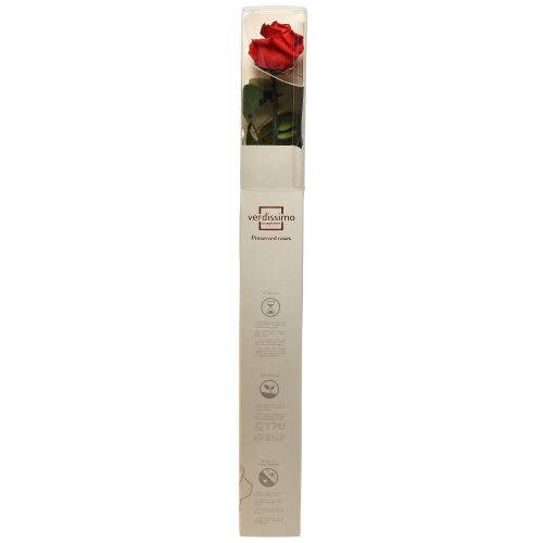 Artikel Amorosa Rot Infinity Rose mit Blättern Konserviert L54cm