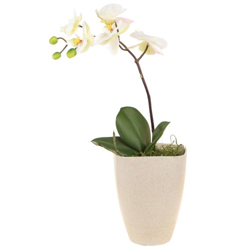 Orchideentopf Blumentopf Plastik Beige Meliert 13,5x13cm H16,5cm 4St