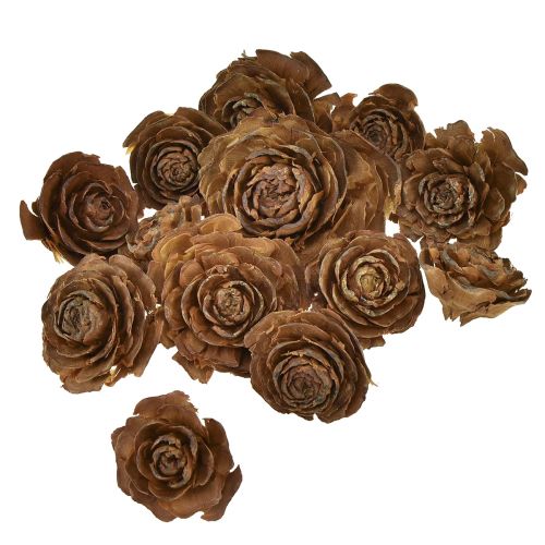 Artikel Zapfen von Zeder geschnitten als Rose Cedarrose 4-6cm natur 50St.