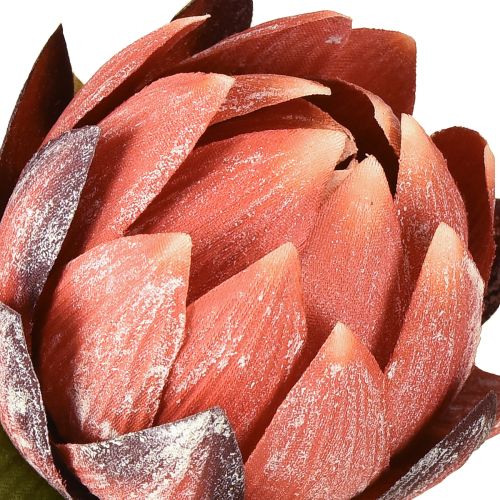 Artikel Deko Protea künstlich Kunstblumen Rotorange 34cm 3St