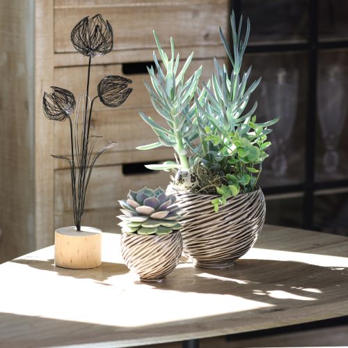 Artikel Deko Schale Blumentopf Keramik Beige Braun Ø15cm 2St