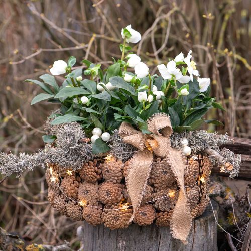 Artikel Dekoschale Kiefernzapfen in Natur Braun Ø35cm H15cm