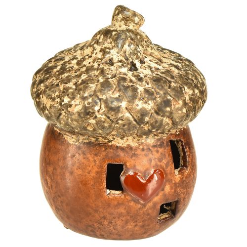 Floristik24 Eichel-mit Fenster und Herzdeko 9,8 cm – Stimmungsvolle Herbst- und Winterdekoration – 4St