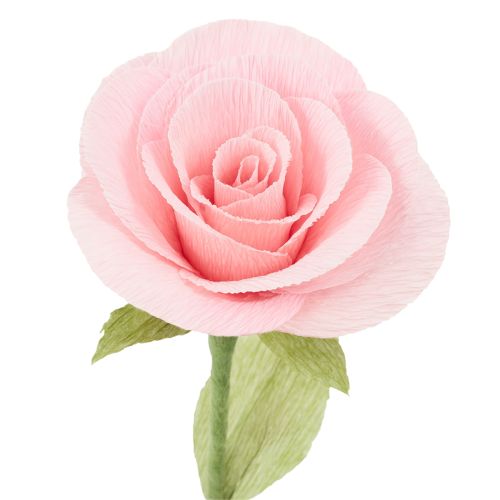 Artikel Floristen-Krepppapier Floristenkrepp Grasgrün 50×250cm 5St