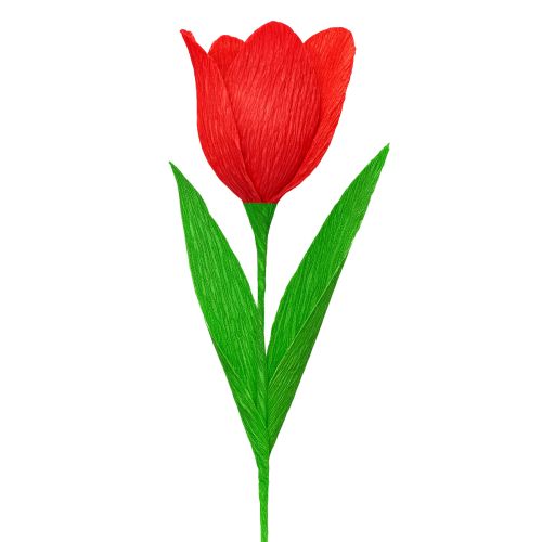 Artikel Floristen-Krepppapier Floristenkrepp Rot 50×250cm 5St