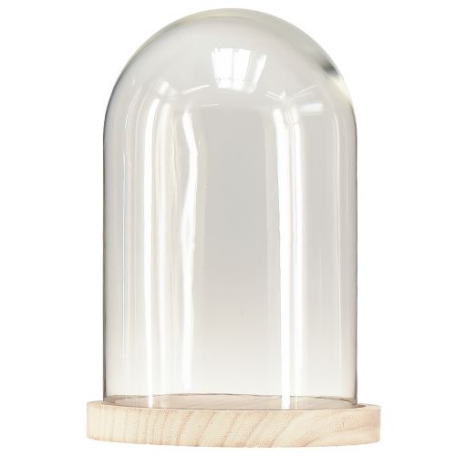Artikel Glasglocke Oval Holzfuß Glassturz Klar Natur Ø17cm H24cm