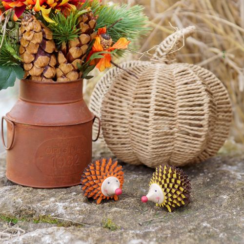 Floristik24 Igel Deko Holz Dekofigur Herbst Orange Gelb 8×7×6cm 4St