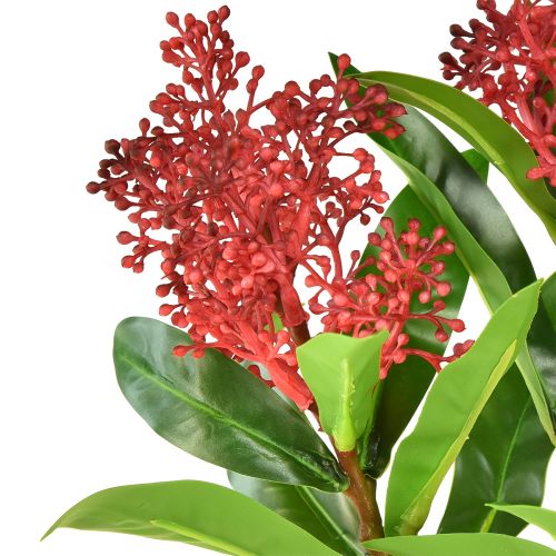 Artikel Künstliche Blumen Rot Skimmia japonica Skimmie 45cm 2St