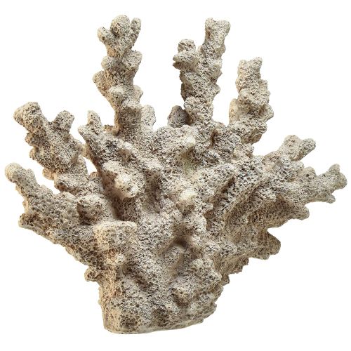 Artikel Detailgetreue Korallen-Deko aus Polyresin in Grau – 26 cm – Maritime Eleganz für Ihr Zuhause