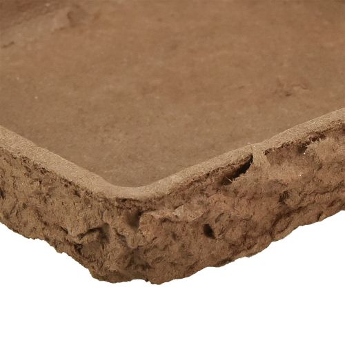 Artikel Oasis Biolit Unterlage ½ Steckschaum Ziegel 13×13×2cm 12St