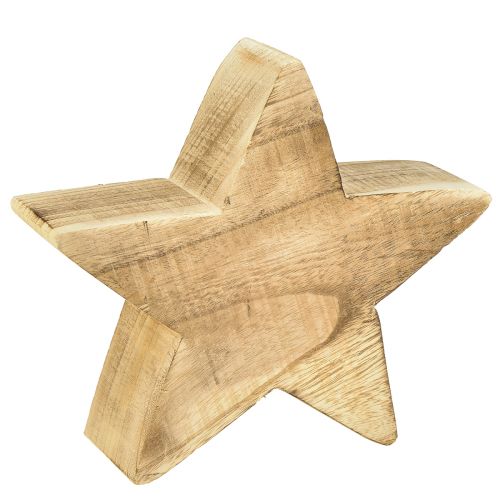 Floristik24 Rustikaler Deko-Stern aus Paulowniaholz – Natürliche Holzoptik, 25x8 cm – Vielseitige Raumdekoration