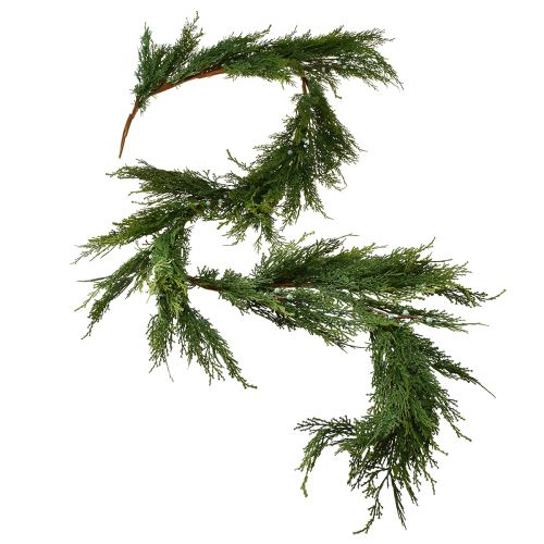 Tannengirlande Thuja mit Früchten Dekohänger Grün L175cm