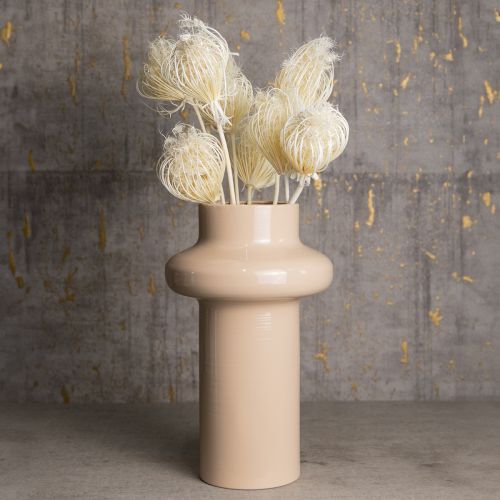 Artikel Trockenblumen Creme Fenchel Gebleicht 45cm Bund 10 St