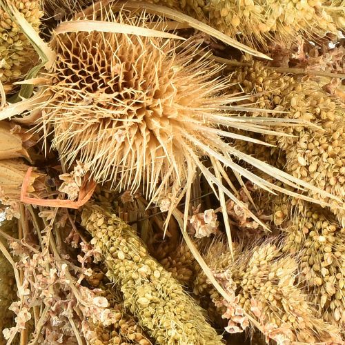 Artikel Deko Trockenkranz Kardendisteln und Hirse in Gelb-Olivgrün, Natürlich Landhaus Ø28cm, Vielseitige Wand- und Tischdeko