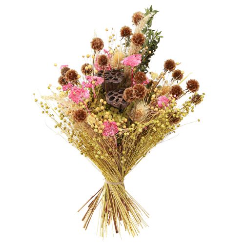 Artikel Trockenstrauß Lotos Flachs Distel Rosa Creme 50cm 100g