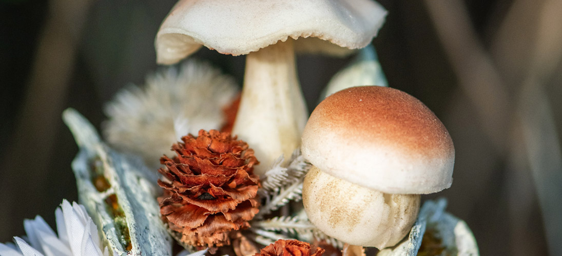 Herbstblätter & Deko Pilze