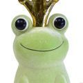 Floristik24 Deko Frosch mit Krone Froschkönig Deko Hellgrün 40,5cm