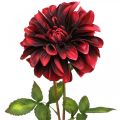 Floristik24 Kunstblume Dahlie Rot Seidenblume Herbst 78cm Ø3/15cm