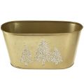 Floristik24 Deko Schale oval Tannenbaum Übertopf Gold 24×13×12,5cm