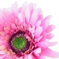 Floristik24 Künstliche Blumen Gerbera Garten Kunstblumen Rosa 47cm