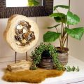 Floristik24 Rustikaler Holzring auf Standfuß – Natürliche Holzmaserung, 54 cm – Einzigartige Skulptur für stilvolles Wohnambiente