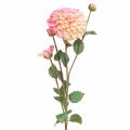 Floristik24 Künstliche Dahlien in Pfirsich Rosa Ø10cm L80cm 2St